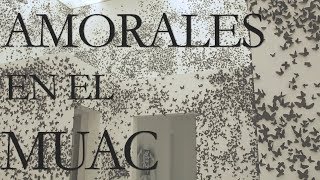 Carlos Amorales en el MUAC [upl. by Kary214]