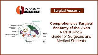 Comprehensive Surgical Anatomy of the Liver A MustKnow Guide for Surgeons and Medical Students [upl. by Tremml]