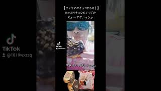 【ファミマ話題のチョコだらけ】たっぷりチョコホイップのキューブデニッシュ…喰らうとこ見せ付けちゃうよ〜 [upl. by Elsinore]