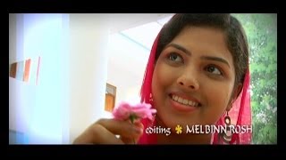 Sneham pankuvekaan  Thanseer Koothuparamba  New Malayalam Mappila Album Songs  New Mappila Songs [upl. by Yetak]