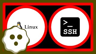 ssh Error loading key quotidrsaquot invalid format [upl. by Eelanna455]