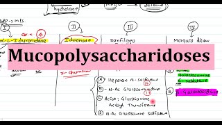 28 Mucopolysaccharidoses  Biochemistry Clinical Features Diagnosis and Treatment [upl. by Rudd967]