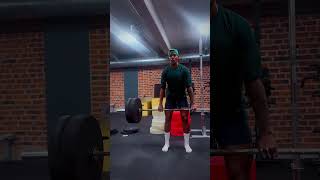 Posterior Chainbackworkout backworkout backpainfitness [upl. by Rebme168]