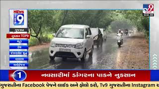 Top 9 Gujarat Rain Updates  27112023  Unseasonal Rain  Weather  Rain  TV9Gujarati [upl. by Dionne443]