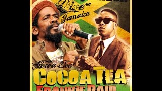 Frankie Paul amp Cocoa Tea  Live At VibraniteFirenze [upl. by Prosser]