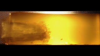 12 Gauge Winchester Rooster XR vs Ballistic Gelatin [upl. by Elaweda]