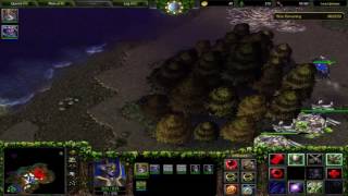 Warcraft 3 The Frozen Throne  Night Elf  Chapter 7  The Ruins of Dalaran Hard [upl. by Atkins]