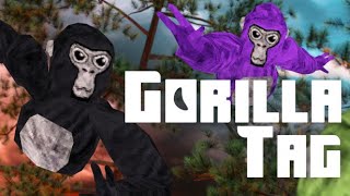 Playing Gorilla Tag [upl. by Hightower]