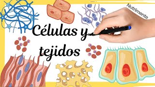 CÉLULAS y TEJIDOS [upl. by Lanni797]