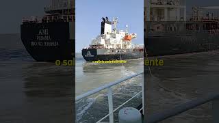 Você trabalharia de SHIP RIGGER em NAVIOS shorts [upl. by Hahnert]