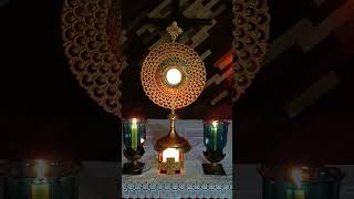 Let us Adore Jesus dailyadoration Jesus shortsvideo english catholichurchyoutubeshort [upl. by Amjan434]