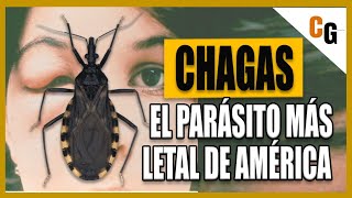 Mal de Chagas  El Parásito mas LETAL de América  ¿Cómo funciona la Tripanosomiasis Americana [upl. by Chobot797]