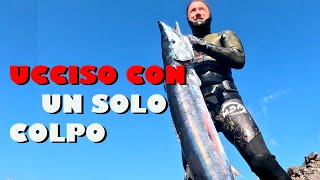 UCCIDO un WAHOO con 1 SOLO COLPO [upl. by Letnahc]