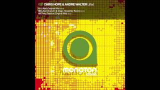 MNTN020  Chris Hope amp Andre Walter  Deep Section Original Mix [upl. by Haliak]