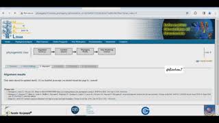 Construct Phylogenetic Tree phylogenyfr bioinformatics biochemistry phylogeny [upl. by Llednew]