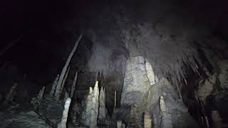 Cueva Coventosa Pipistrellus CMP [upl. by Jari679]