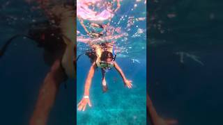 Snorkeling 🤿 in Hawaii shorts hawaii springbreak2024 snorkeling [upl. by Solim572]