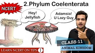 Phylum Coelenterata  Animal Kingdom  Class11 Bio NCERT On Tips  Mnemonics Included In This 🔥 [upl. by Atiuqihs]