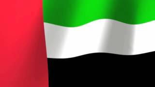 UAE Flag day [upl. by Aicen]