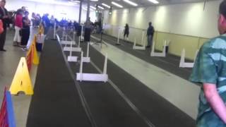 Flyball Demonstration at the Southern Maryland Kennel Club [upl. by Nueoht478]