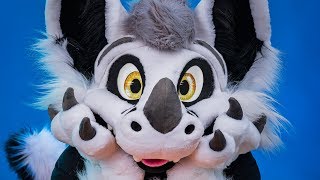 FURSUITER BEING CUTE FOR 3 MINUTES [upl. by Freddy]