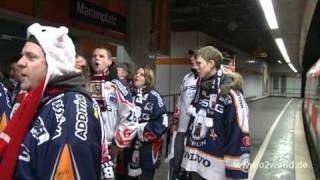 Eisbären Sonderzug Fans fahren nach München [upl. by Germin]