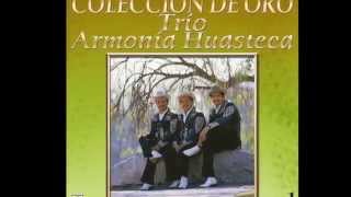 Mix Armonia Huasteca puros exitos [upl. by Clute]