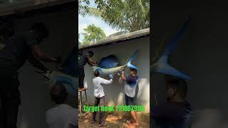 sailfish fishing targethook bigfishgames merlins sawantwadi viralvideo [upl. by Cr311]