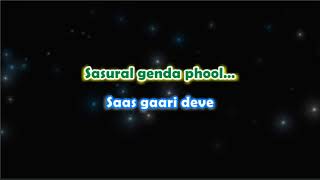 Sasural Genda Phool  Delhi 6  Karaoke with Lyrics [upl. by Eiggam]