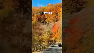 Autumn leaves in Nikko🇯🇵 autumn shorts 秋 観光 japan travel japantravel nikko placestovisit [upl. by Suoiluj]