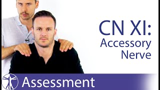 Cranial Nerve 11 Examination  Accessory Nerve Assessment for Physiotherapists [upl. by Lenee]