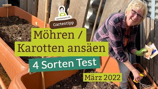 4SortenTest Karotten  Möhren ansäen im März  Karotten im Kübel anbauen [upl. by Adnilemreh]