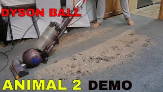 DYSON BALL ANIMAL 2 VACUUM CLEANER UP24  FIRST LOOK DEMONSTRATION AND TESTING [upl. by Idnem]