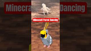 Minecraft parrot dancing🤣 minecraft shorts [upl. by Suivatna545]