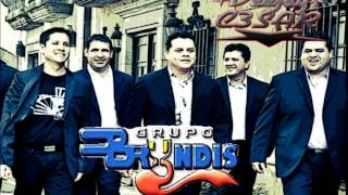 Grupo Bryndis Solo Exitos Mix [upl. by Jamey590]