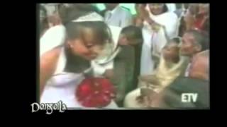 New Tigrigna Music Ethiopia Anbessa Tekle wedding Song אמהרית [upl. by Melas]