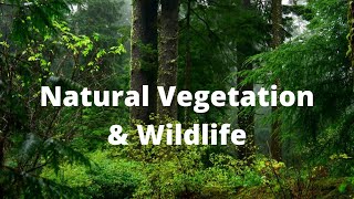 natural vegetation and wildlife class 9 ll NCERT  Social science by Deepak sir [upl. by Ande]