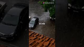 What is Acid Rain 🌧️ Explained in 60 Seconds [upl. by Enilatan]