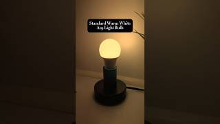 The Standard Warm White A19 Light Bulb Perfect for home and office applicationsled lightbulb [upl. by Asiuqram764]