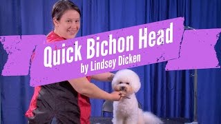 Bichon Head Grooming Demo by Lindsey Dicken [upl. by Emiolhs240]