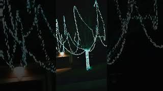 Christmas House Decorations youtubeshortschritmasdecorationhousebeautifullightscolourfulusa [upl. by Leirbaj953]