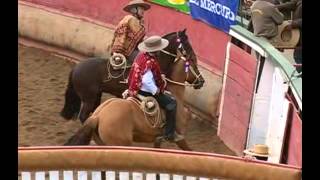 Rodeo Campeones de Chile [upl. by Hogue]