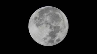 The Supermoon  Panasonic GH4  Canon FD 70210mm f4 [upl. by Bael]