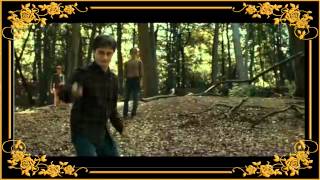 Harry Potter  Magic Spells HD [upl. by Euqinue]