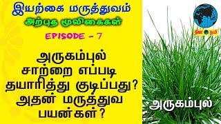 Arugampul  அருகம்புல்  Sidda Maruthuvam  Nattu  Iyarkai  Bermuda Grass  Cynodon Dactylon [upl. by Aes159]