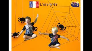 Kidslingo Mini Beast Yoga  French [upl. by Rosa470]