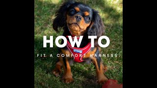 How to fit a comfort harness [upl. by Arerrac]