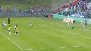 GOL DE ESTEFANIA BANINI  ARGENTINA VS BRASIL  COPA AMERICA FEMENINA ECUADOR 2014 [upl. by Naihtsirc]