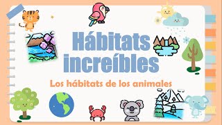 Hábitats increíbles Los hábitats de los animales [upl. by Neslund348]