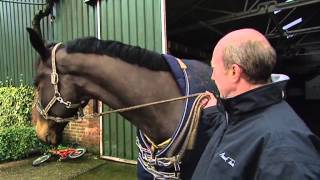 Showjumping  Michael Whitaker At Home  February 2010 [upl. by Tehcac551]